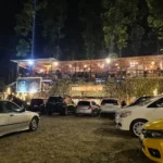 kembali ke alam rimba