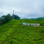 alternatif wisata puncak